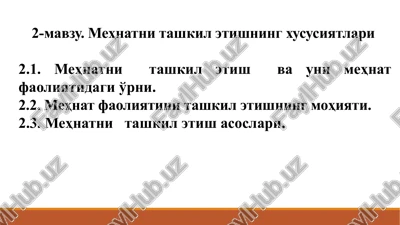 mehnatni tashkil etishning xususiyatlari — PPTX