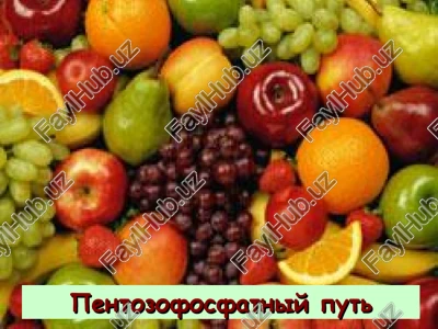 pentozofosfatniy put — PPT