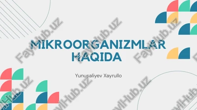 mikroorganizmlar haqida — PPTX