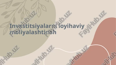 investitsiyalarni loyihaviy moliyalashtirish — PPTX