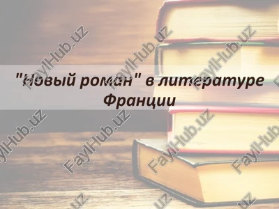 noviy roman v literature frantsii — PPTX