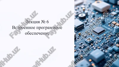 vstroennoe programmnoe obespechenie — PPTX