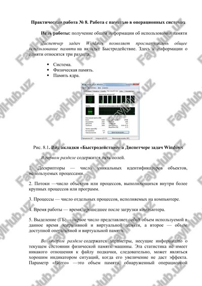 rabota s pamyatyu v operatsionnix sistemax — DOCX