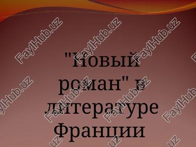 noviy roman v literature frantsii — PPT