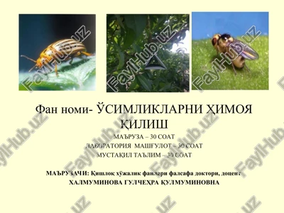 umumiy va qishloq xo'jalik entomologiyasi — PPT