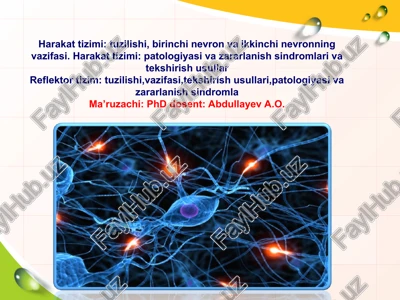 harakat va reflektor tizimlari — PPT