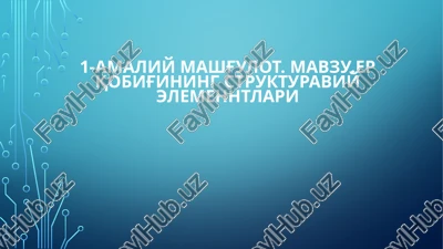 amaliy mashg'ulot. mavzu.er qobig'ining struktura — PPTX