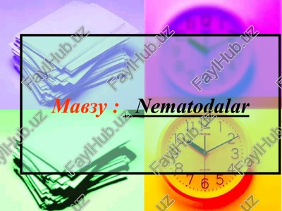 nematodalar — PPTX