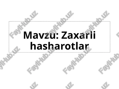 hasharotlar — PPTX