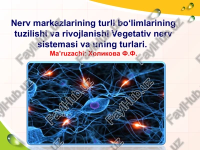 nerv to‘qmasining xossalari — PPT