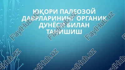 yuqori paleozoy davrlarining organik dunyosi bilan tanishish — PPTX