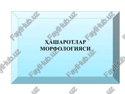 hasharotlar morfologiyasi — PPT