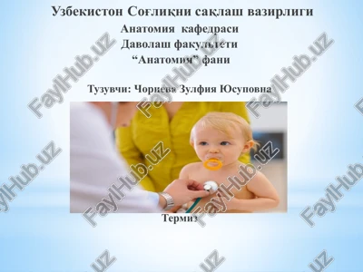 ma'ruza-2.nafasa'zolarining funktsional va yoshli anatomiyasi — PPTX