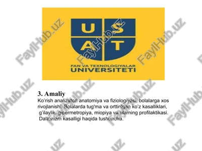 ko’rish analizatori anatomiya va fiziologiyasi — PPT