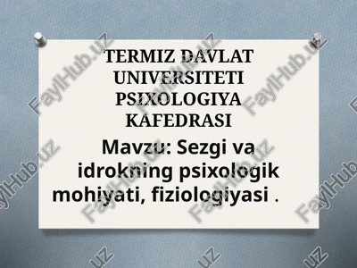 sezgi va idrok psixologiyasi — PPT