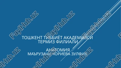 anatomiyama'ruzachi.chorievazulfiya — PPTX