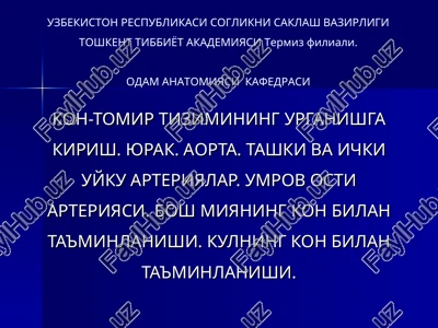 odam anatomiyasi kafedrasi — PPT