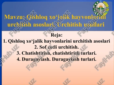 qishloq xo‘jalik hayvonlarini urchitish asoslari — PPTX