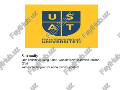 qon ketishi va ung turlari — PPT