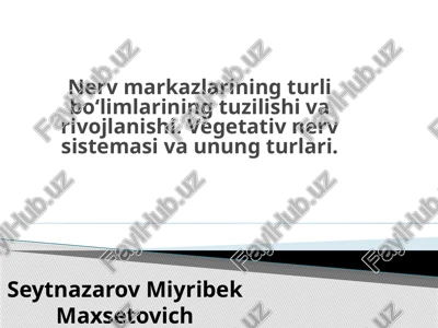 nervmarkazlarining turlibo‘limlarining tuzilishi va rivojlanishi. vegetativ nerv sistemasiva unung turlari — PPTX