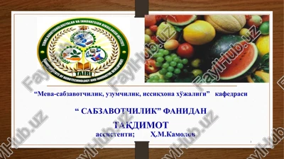 ildizmevali sabzavotlar — PPTX