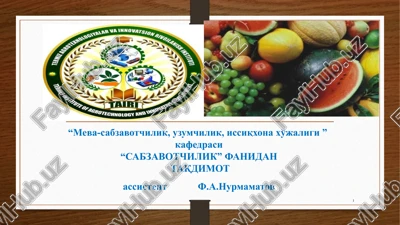 kam tarqalgan piyozli sabzavotlar biologiyasi va etishtirish texnologiyasi — PPTX