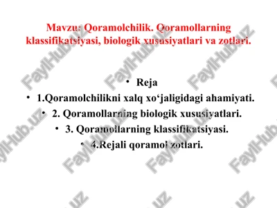 qoramolchilik — PPT