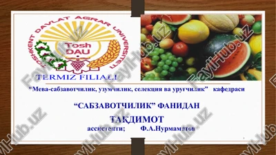 bodring vasabzavot qovoqchalar biologiyasi va etishtirish texnologiyasi — PPTX