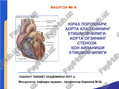 aortal poroklar — PPT