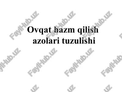 ovqat hazm qilish azolari tuzulishi — PPT