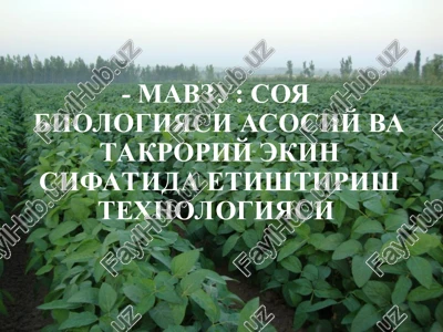 soya biologiyasi va navlari — PPT
