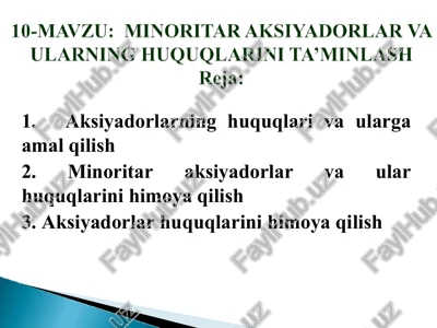 minoritar akstyadorlar va ularning huquqlarini ta’minlash — PPT