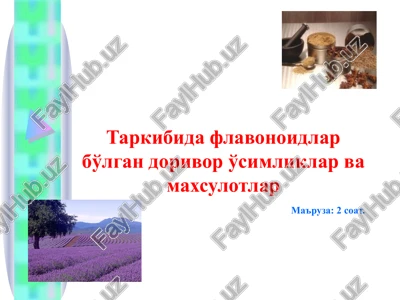 flavonoidlar saqlovchi dorivor o'simlik va maxsulotlar — PPT