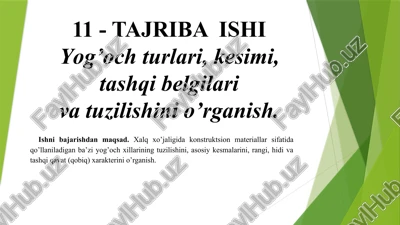 yog’ochlar tuzilishi — PPTX