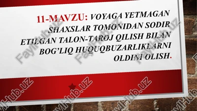 voyagayetmaganlar tomonidan sodiretilgan talon-taroj qilish bilan bog’liq huquq buzilarni oldini olish — PPTX