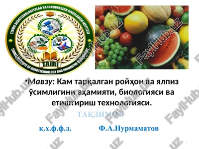 sabzavotchilik — PPT