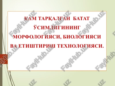 batatnining morfologiyasi, biologiyasi va etishtirish texnologiyasi — PPTX