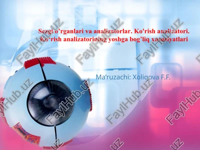 ko'rish analizatori — PPTX