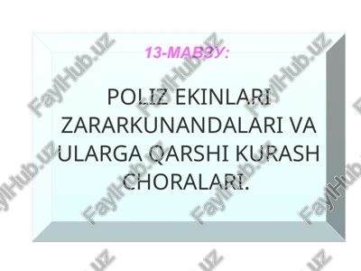 poliz ekinlari zararkunandalari va ularga qarshi kurash choralari — PPT