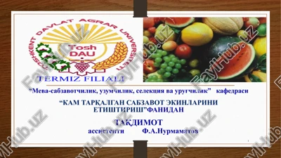 kam tarqalgan piyozli sabzavotlar biologiyasi va etishtirish texnologiyasi — PPTX