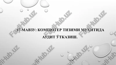 kompyuter tizimi muhitida audit o'tkazish — PPTX