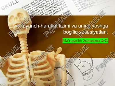 tayanch harakat tizimi va uning yoshga bog’liq xususiyatlari — PPTX