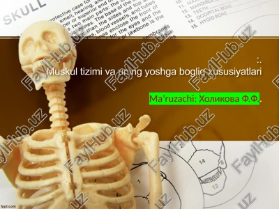muskultizim va uning yoshga bog'liq xususiyatlari — PPTX