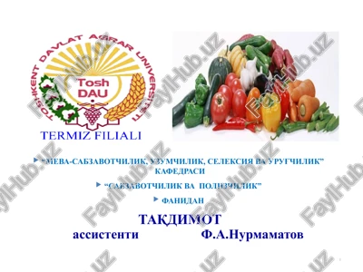 ko'kat, dukkakli va kam tarqalgan sabzavotlarni etishtirish xususiyatlari — PPTX