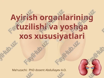 ayirishorganlarining tuzilishi va yoshga xos xususiyatlari — PPTX