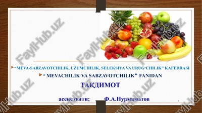 kirish. o‘zbekistonda mevachilikning qisqacha tarixi, hozirgi ahvoli — PPTX