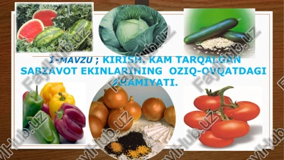 kam tarqalgan sabzavot ekinlari — PPTX