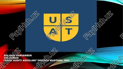bank auditi asoslari — PPTX