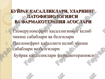 buyrak kasalliklari, ularning patofiziologiyasiva farmakoterapiya asoslari — PPT