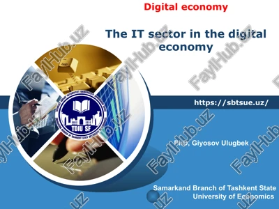 it sector in the digital economy — PPTX
